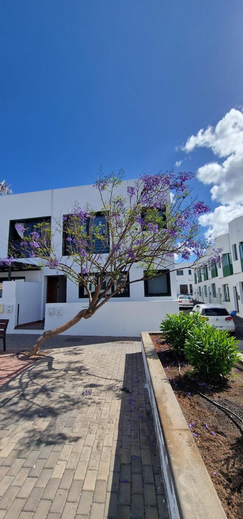 Apartamento Margarita Playa Blanca  Bagian luar foto